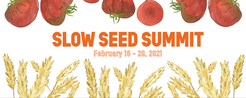 TEST 4 of Slow Seed Summit - Feb 15 | RingCentral Events